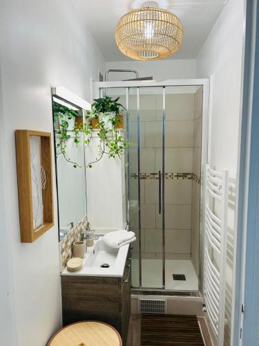 une salle de bain avec une douche, un lavabo et un miroir dans l'établissement Résidence Renan - Paris Porte de Versailles, à Issy-les-Moulineaux