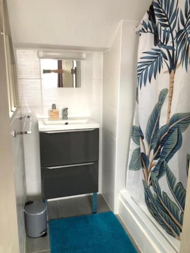 une salle de bain avec un lavabo et un rideau de douche dans l'établissement Nid douillet Lorientais, à Lorient
