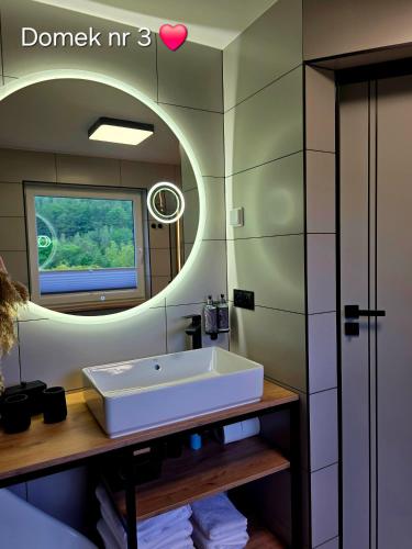 a bathroom with a sink and a mirror at Zacisze Pod Śmielcem in Jagniątków