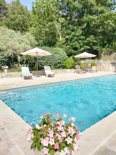 - une piscine avec 2 chaises longues et des parasols dans l'établissement Mas du Vallon, à Oppède