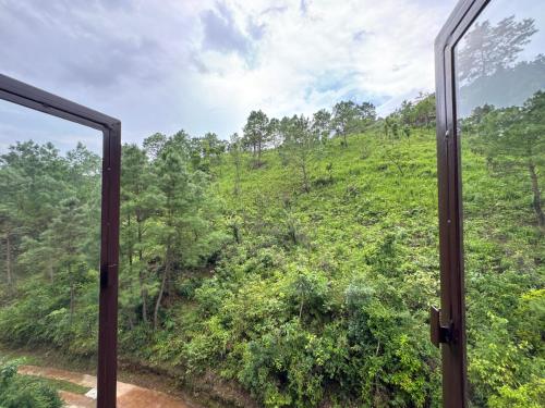 a view from a window of a forest at XTSY Family Rooms & Dorms in Shillong