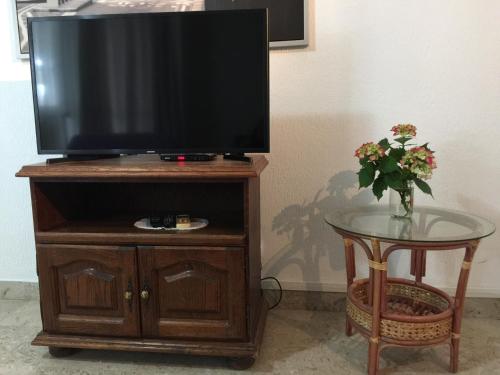 TV a/nebo společenská místnost v ubytování Apartments Kuljaca