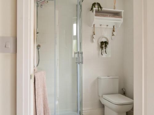 a bathroom with a toilet and a shower at Ivy Cottage in North Coates
