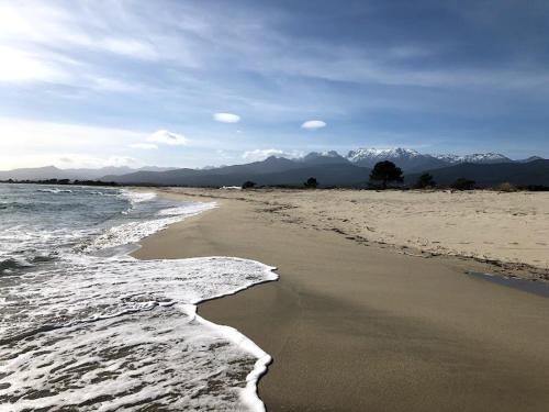 Photo de la galerie de l'établissement Studio in Vix, Corsica, à Ventiseri