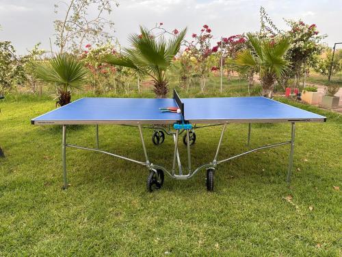 a ping pong table sitting in the grass at Peaceful Family Villa on a Farm with Private Pool and Stunning Mountain Views in Agadir