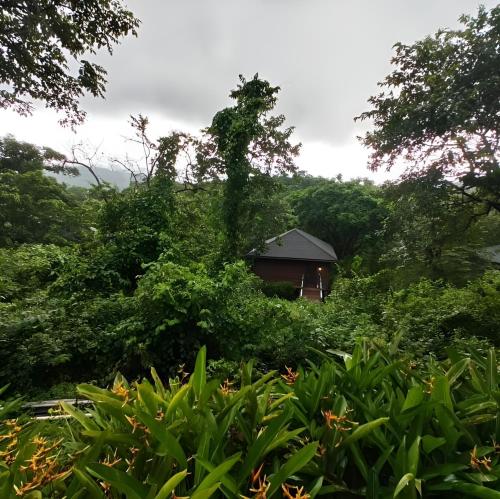 Naturlandschaft in der Nähe des Resorts
