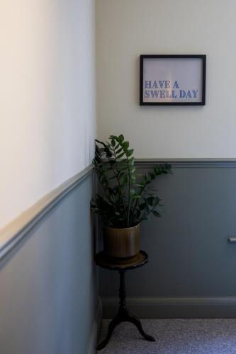 a plant sitting on a stool in a room at The London & Paris Hotel in Folkestone