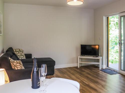 a living room with a couch and a television at Peris Lodge - Uk47606 in Caernarfon