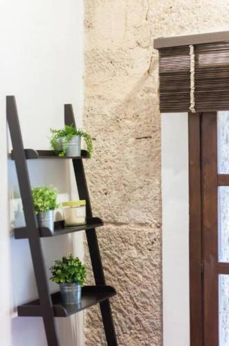 Cozy apartment in the old town - San Ramon