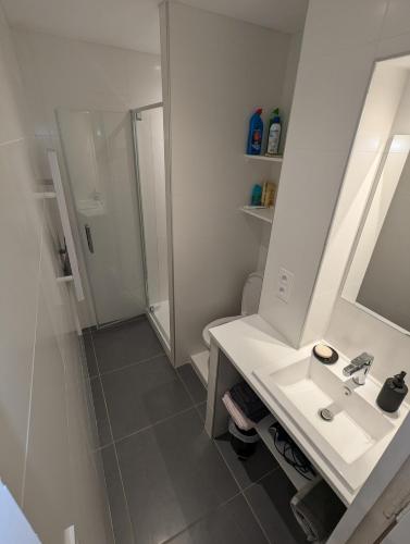 une salle de bain blanche avec un lavabo et une douche dans l'établissement Studio au rez-de-chaussée accès direct jardin, à Corrençon-en-Vercors