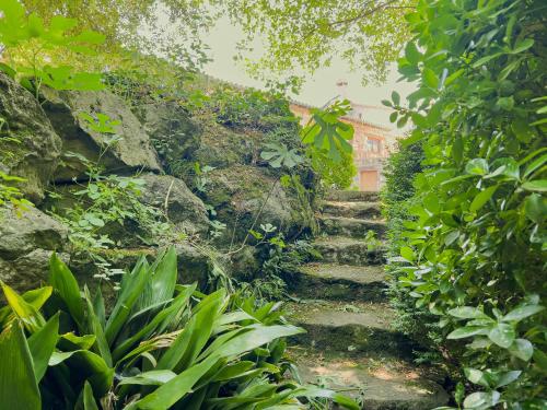 a set of stone stairs in a garden with plants at Aiguabella - Allotjaments Rurals in Sant Felíu de Pallarols