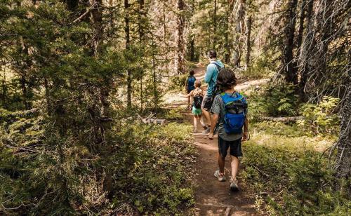 a group of people walking on a trail in the woods at Central AC, Updated 4 BR, 4-5 BA Townhouse, Pool in Aspen