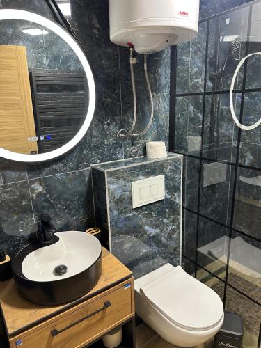 a bathroom with a sink and a toilet and a mirror at Nobus Jezerska zvezda A7 in Veliko Gradište