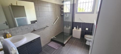 une salle de bain avec un lavabo et des toilettes dans l'établissement maison bord de mer, à Plérin