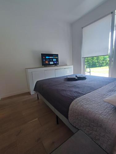 a bedroom with a bed and a flat screen tv at Вудхарт2 in Yasinya