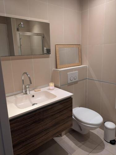 une salle de bain avec un lavabo, des toilettes et un miroir dans l'établissement Le mazet cosy, à Saint-Tropez