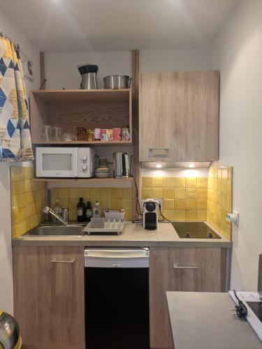 une petite cuisine avec un évier et un micro-ondes dans l'établissement Le mazet cosy, à Saint-Tropez