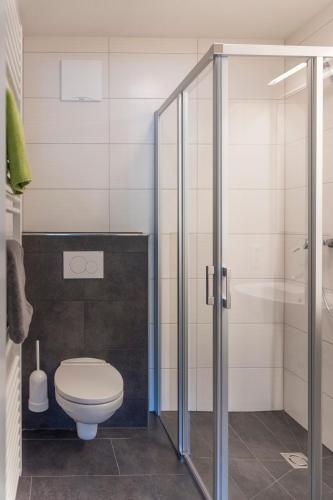 a bathroom with a toilet and a glass shower at Bergblick-Planai - 5 Schlafzimmer plus eigene Sauna in Schladming