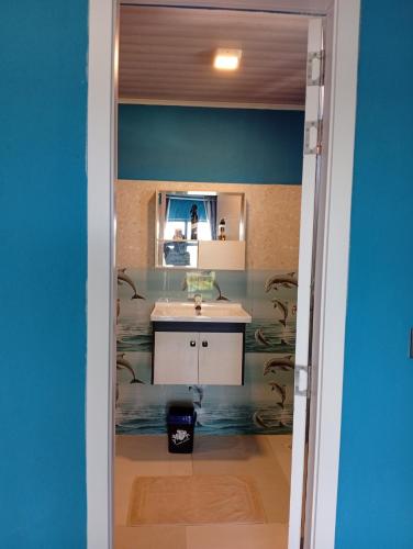 a bathroom with a sink and a mirror at iruka guesthouse in Bandara