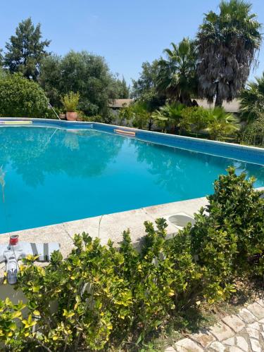 a large blue swimming pool with trees in the background at Casa do Jardim in Palmela