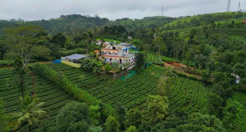 an aerial view of a house in the middle of a field at Best Mist in Idukki