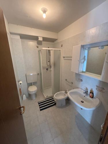 a bathroom with a sink and a toilet and a shower at Il Cirmolo in Canale dʼAgordo