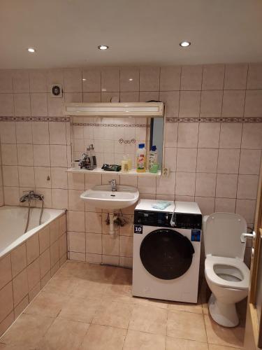 Un baño de Apartment for recreation in the district of Děčín