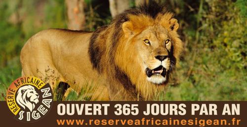 シジャンにあるMaison de Village - Standing - Centre Historiqueのギャラリーの写真