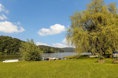 a tree on the shore of a lake with a boat at Herbal Apartment Marjetka in Šentjur
