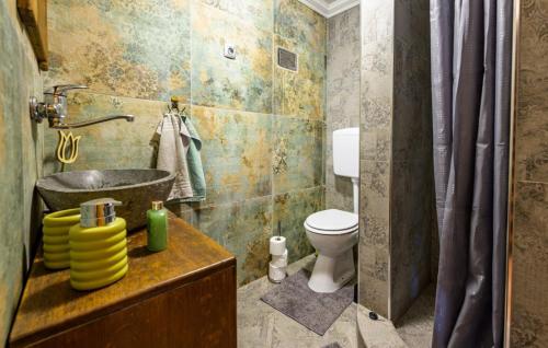 a bathroom with a sink and a toilet at Villa Magic by Villas Guide in Jalžabet