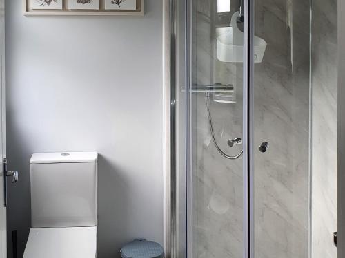 a shower with a glass door next to a toilet at Fern Lodge - Uk40018 in Halwill