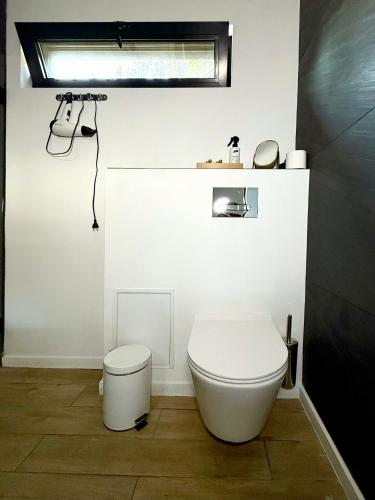 a white bathroom with a toilet and a shower at Шишка in Bukovel