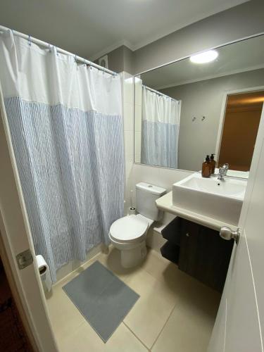 a bathroom with a white toilet and a sink at Departamento Osorno 3D 2B 2 estacionamiento in Osorno
