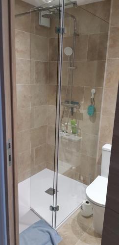 une cabine de douche dans une salle de bain avec toilettes dans l'établissement Appartement vue mer, à Marseillan