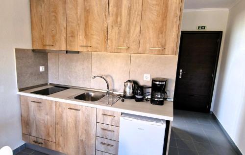 una cucina con un lavello e un frigorifero nero di Athitos cozy Studios ad Áfitos