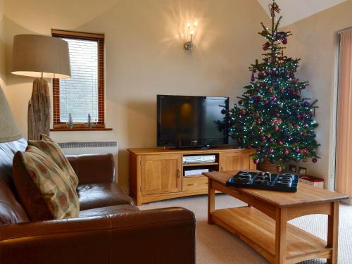 a living room with a christmas tree and a television at Morlais - Hw7599 in Llanaber