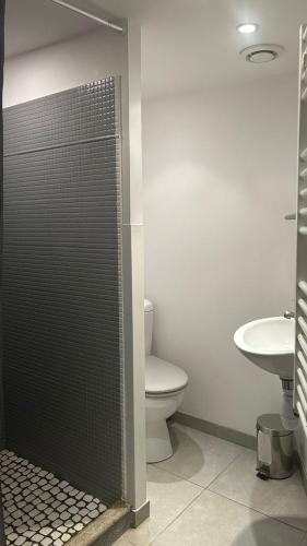 une salle de bain avec une douche avec des toilettes et un lavabo dans l'établissement T2 proche centre et plage perros guirec, à Perros-Guirec