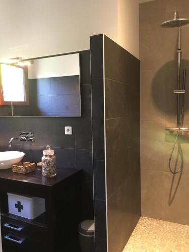 łazienka z prysznicem, toaletą i umywalką w obiekcie Cabane Chic au Cap Ferret w mieście Lège-Cap-Ferret