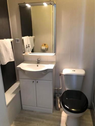 une salle de bain avec toilettes, lavabo et miroir dans l'établissement Les Hautes Loignieres, à La Celle-sous-Gouzon