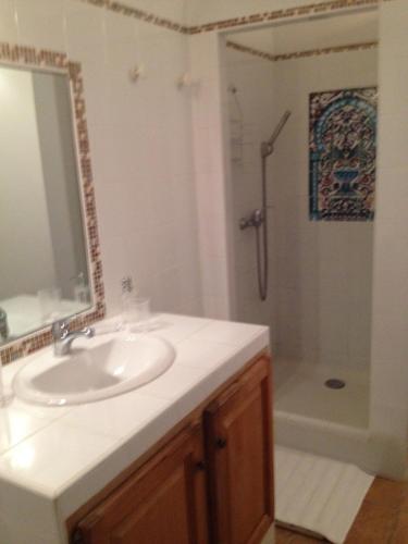 une salle de bain avec un lavabo et une douche dans l'établissement Maison independante en pierre du pays, Jardin,Clim,Wifi,Tnt a 5 mn de la Mer Mausoleo, à Brando