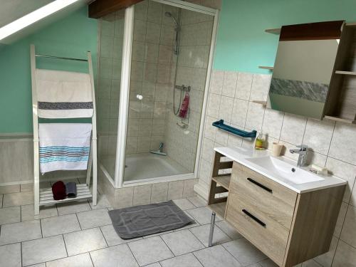 une salle de bain avec une douche, un lavabo et un miroir dans l'établissement Le royaume des randonneurs studio, à Harreberg