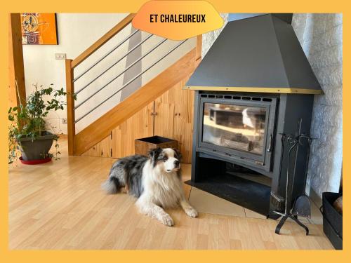 a dog sitting in front of a stove at Maison avec jardin - 6 personnes - Top emplacement in Ribeauvillé