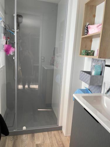 une salle de bain avec une douche avec un chat dedans dans l'établissement Mobil home dans camping le domaine de soulac siblu, à Soulac-sur-Mer