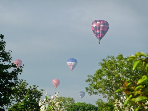 a group of hot air balloons in the sky at The Goyle-E4528 in Uplowman