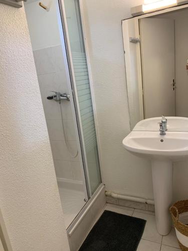 une salle de bain avec un lavabo et une douche dans l'établissement Appartement lumineux en front de mer, à Frontignan