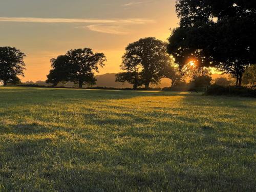 a field of grass with trees in the sunset at 2 Bed in Sturminster Newton 88265 in Fiddleford