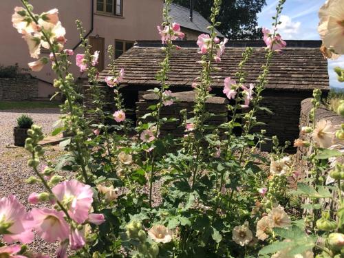 Κήπος έξω από το 2 Bed in Chepstow 95046