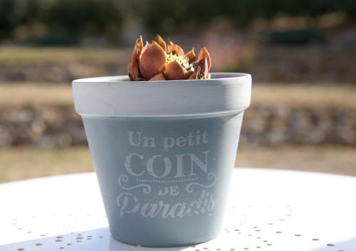 a cup with a plant in it sitting on a table at Chez Prunette in Les Lèves-et-Thoumeyragues