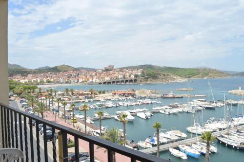 Appart 2 pièces 4 couchages BANYULS SUR MER BN400-031