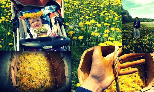 a collage of photos with a baby in a stroller at Männi Summerhouse in Kassari